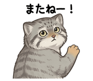 841287035