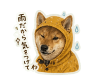 841287199