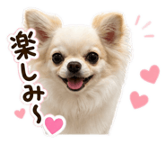 841287821