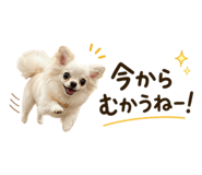 841287823
