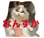 841288089