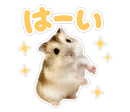 841288298