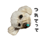 841288384