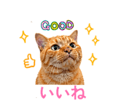 841288441