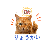841288442