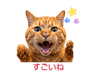 841288443