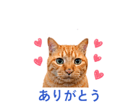 841288444