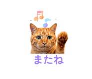 841288448
