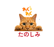 841288449