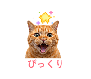 841288450