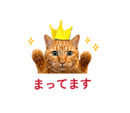 841288451