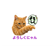 841288452