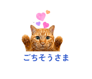 841288453