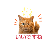 841288456