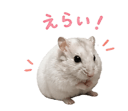 841288516