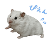 841288517