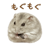 841288518