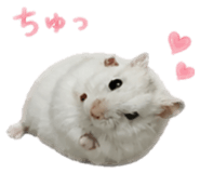 841288519