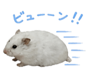 841288534