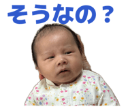 841288564