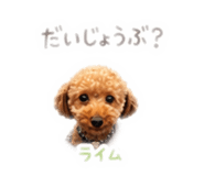841288935