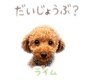 841288948