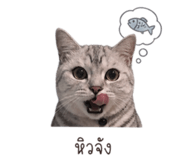 841289035
