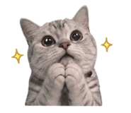 841289036