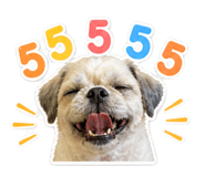841289082