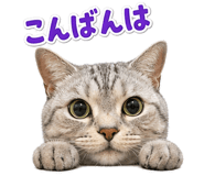 841289819