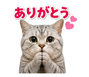 841289840