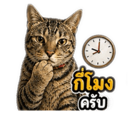 841291867