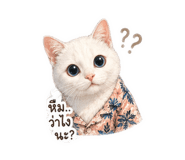 841292134