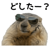 841292142