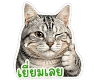 841293070
