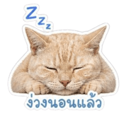 841293080