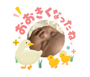 841293512