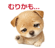 841294147