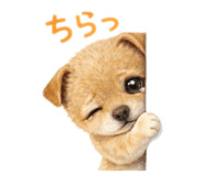 841294157