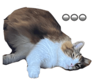 841294194