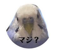841294249