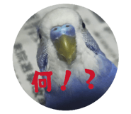 841294253