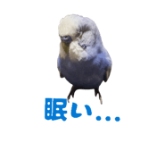 841294256