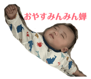 841294763