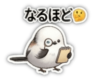 841294806