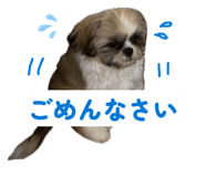 841294826