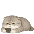 841295356