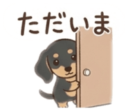 841295980