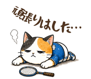 841296777