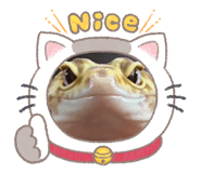 841296971